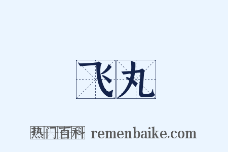 飞丸是什么意思的图片